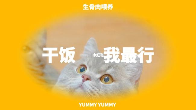 “不消费”的年轻人，如何成为了宠物消费市场主流？ -2