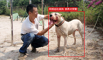 “狗咬人”受关注，宠物AI识别科技为城市禁养犬管理提供新动力 -3