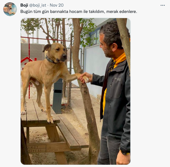 网红工作犬被举报在地铁上拉屎，一查监控：原来是人“拉”的！ -12