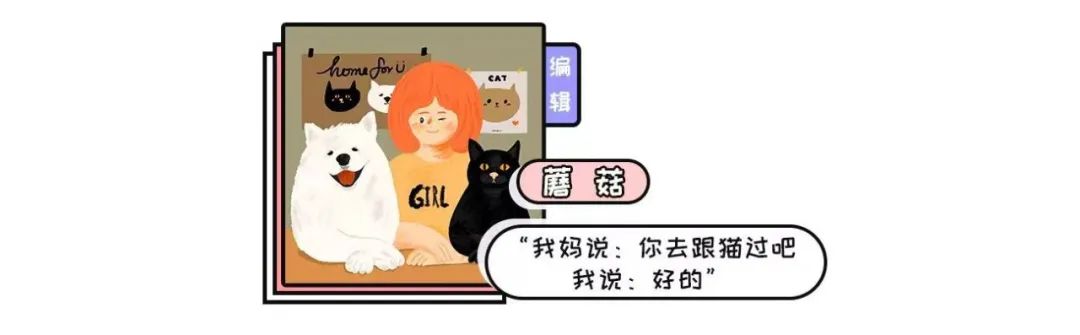 猫的睡姿大不同！？网友：是不同吗？是天壤之别吧！ -5