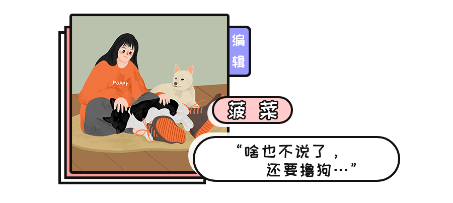 网红工作犬被举报在地铁上拉屎，一查监控：原来是人“拉”的！ -18