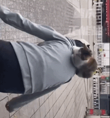 “等外卖的时候,被一只流浪猫碰瓷了…有亿点点可爱!” -2 “等外卖的时候,被一只流浪猫碰瓷了…有亿点点可爱!” -2