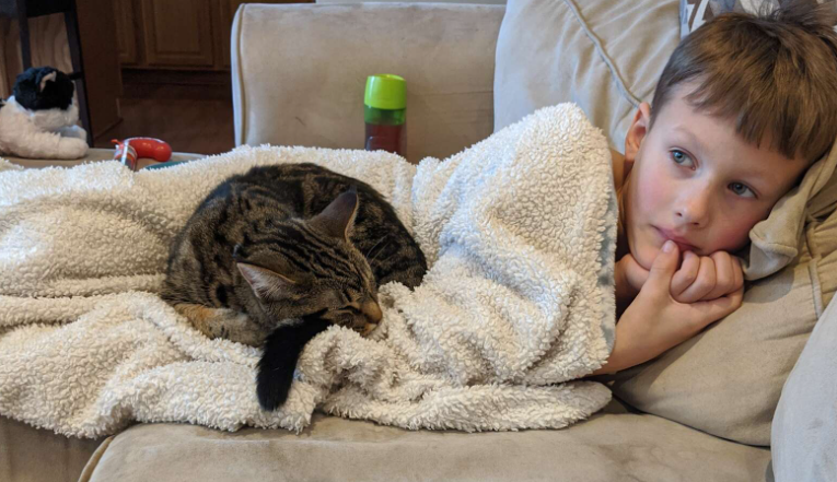 猫猫硬闯校园被抓,老师告状:“麻烦带回去管教,谢谢!” -6 猫猫硬闯校园被抓,老师告状:“麻烦带回去管教,谢谢!” -6