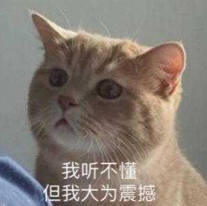 猫猫硬闯校园被抓,老师告状:“麻烦带回去管教,谢谢!” -4 猫猫硬闯校园被抓,老师告状:“麻烦带回去管教,谢谢!” -4