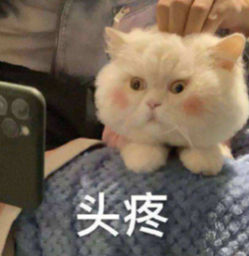 猫猫硬闯校园被抓,老师告状:“麻烦带回去管教,谢谢!” -3 猫猫硬闯校园被抓,老师告状:“麻烦带回去管教,谢谢!” -3